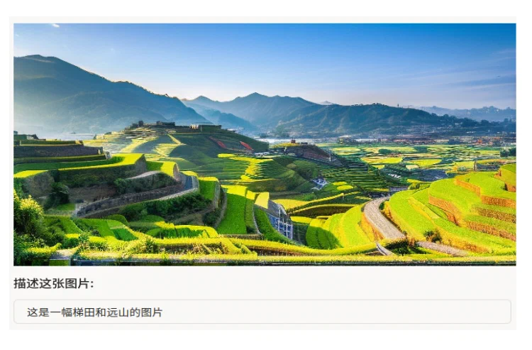 图像描述模板预览