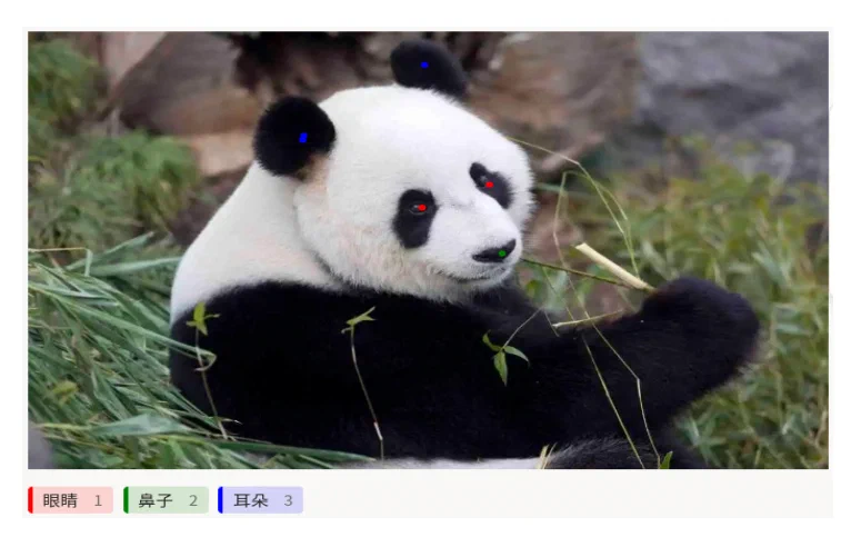 关键点标注模板预览