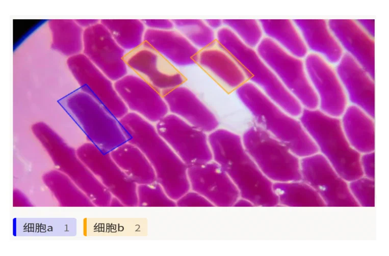 目标检测（矩形框）模板预览